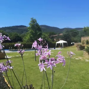 Alba Morus Bed E Breakfast Sentiti A Casa Nel Cuore Della Toscana Arezzo